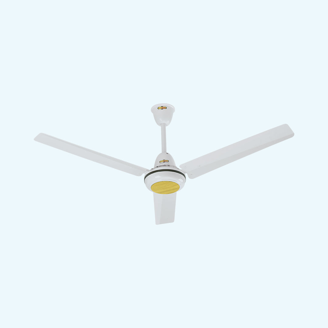 JAZZ PLUS FAN