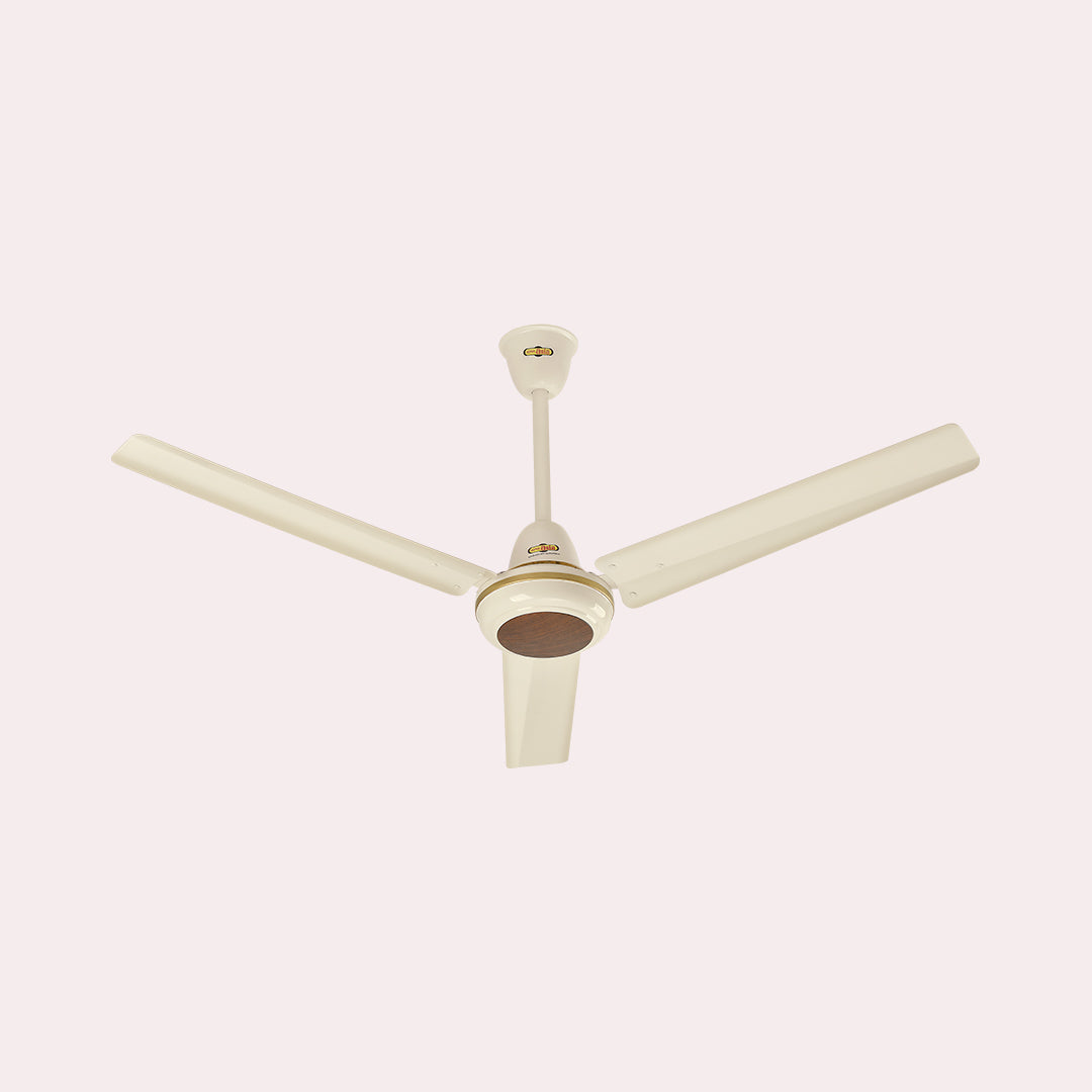 JAZZ PLUS FAN