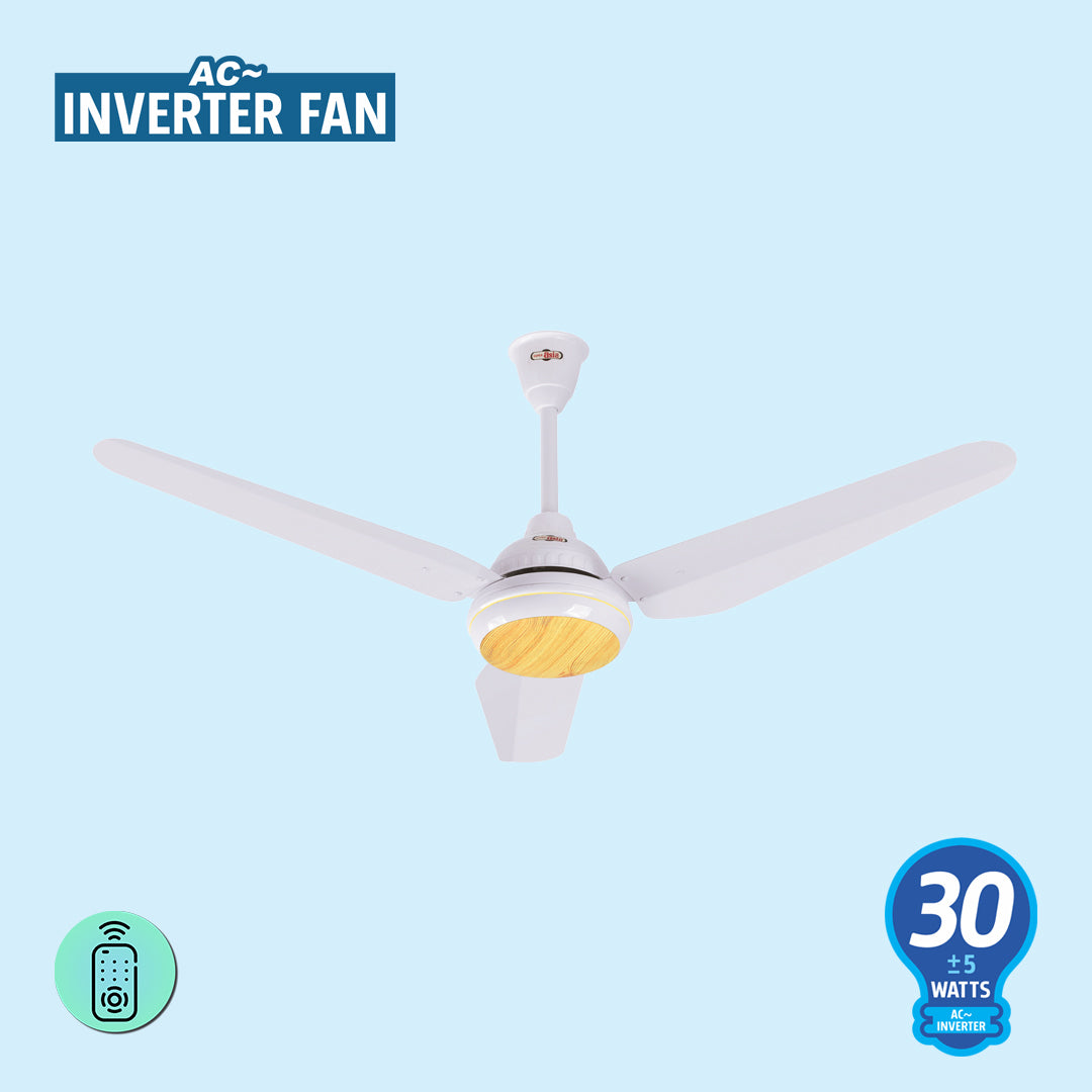 AC Inverter Fan - Super Asia